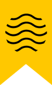 First Place in Splash 2022