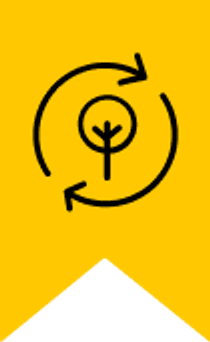 First Place in Sustainability 2022