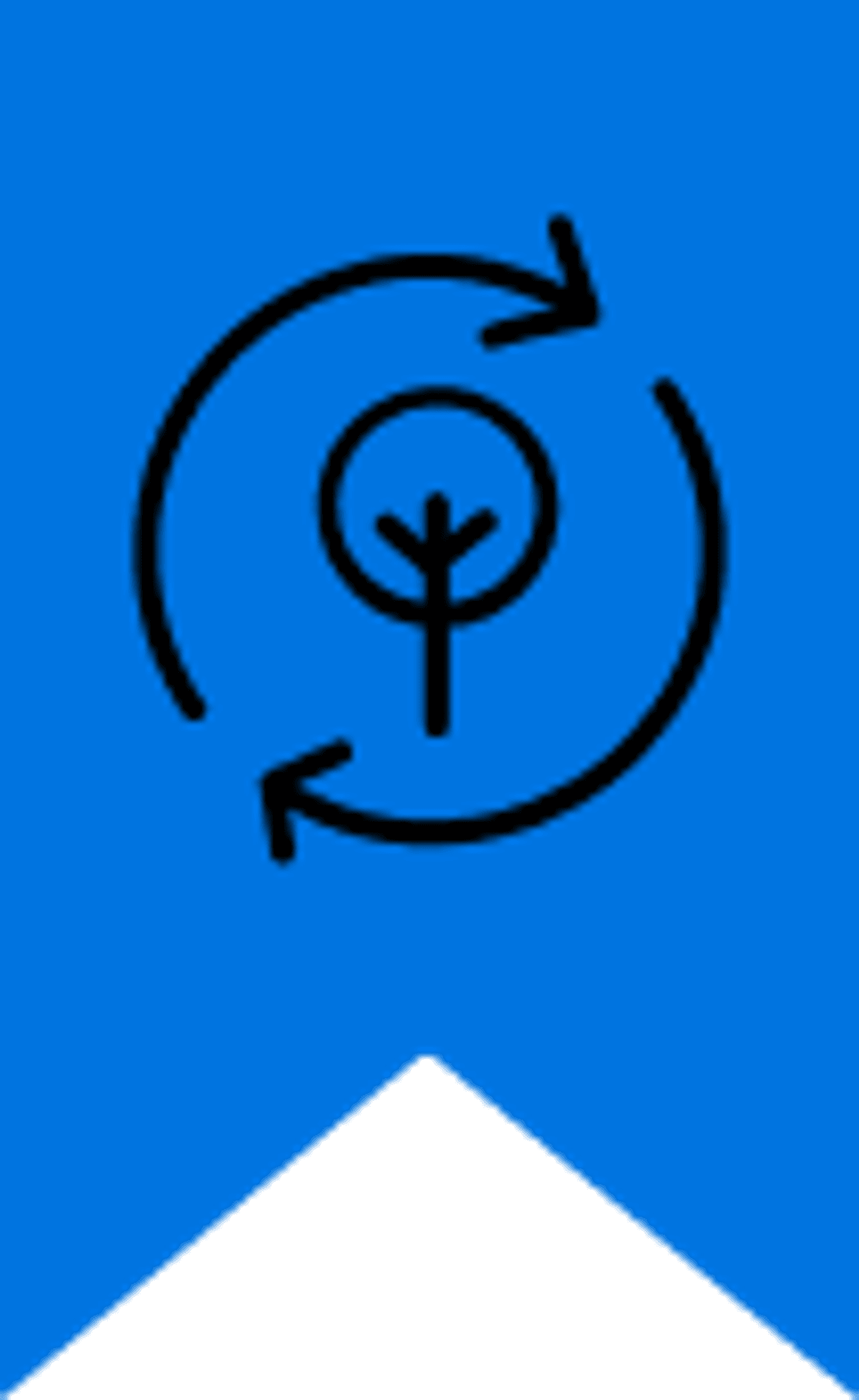 Second Place in Sustainability 2021