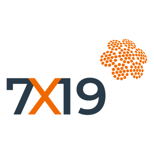7x19