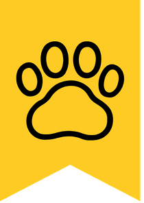 First Place in Exhibit - Animals 2025