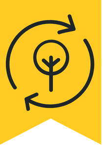 First Place in Sustainability 2025