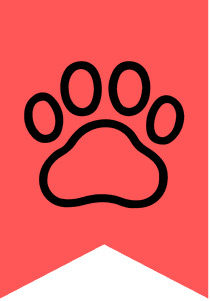 Third Place in Exhibit - Animals 2025