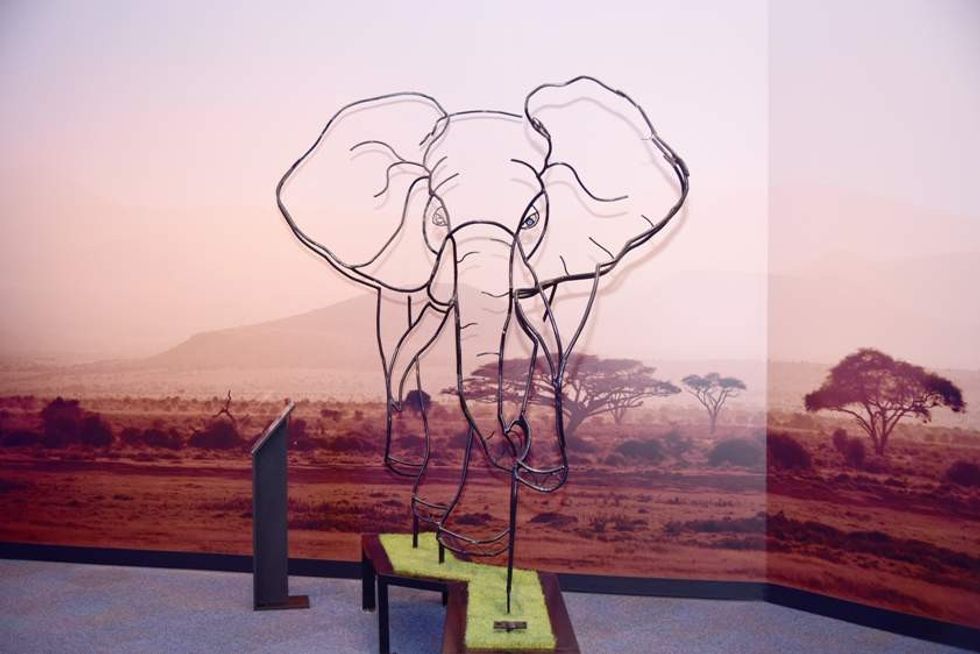 Eye don't believe it! New Science Centre Singapore exhibits explore the world of optical illusions