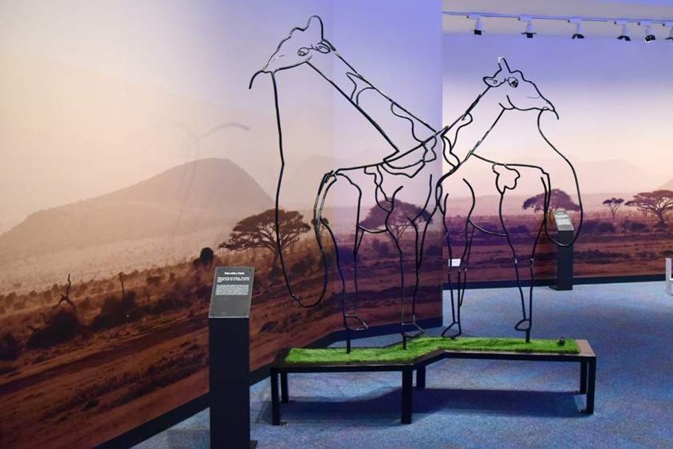 Eye don't believe it! New Science Centre Singapore exhibits explore the world of optical illusions