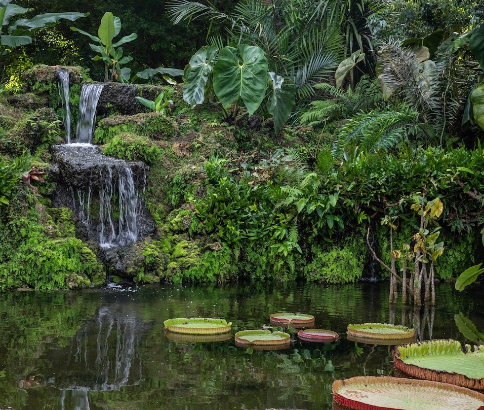 Fairchild Tropical Garden