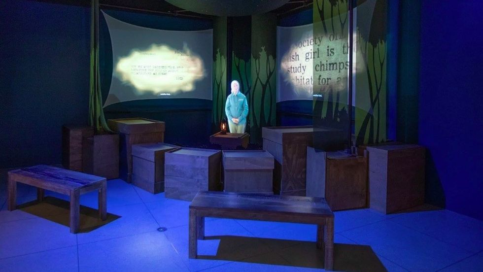 Falcon's Vision Becoming Jane