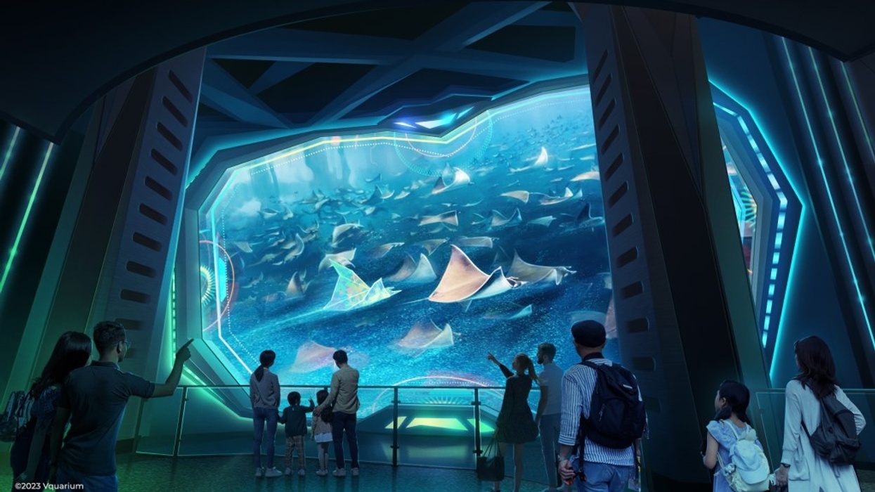 Falcon’s Beyond Global Vquarium