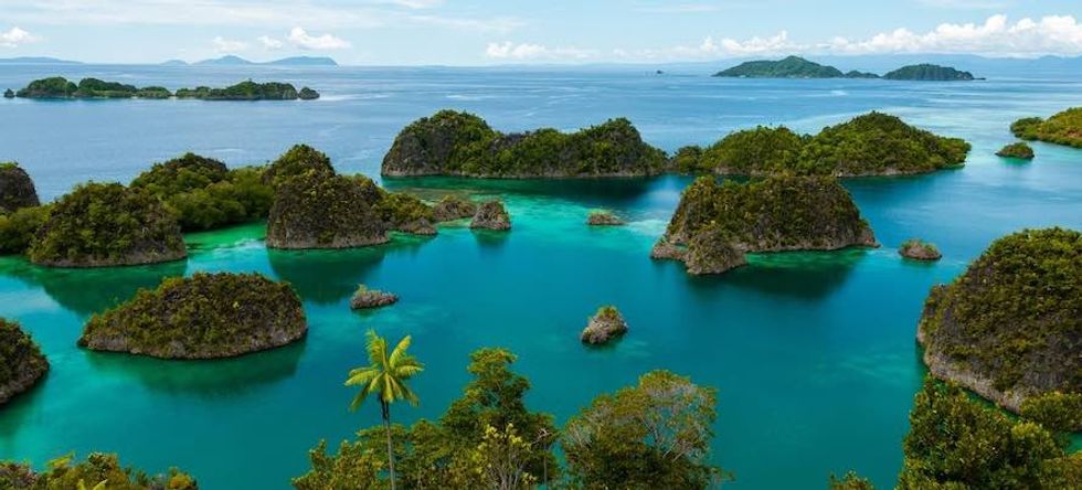 Fam Island, Raja Ampat, Papua New Guinea.