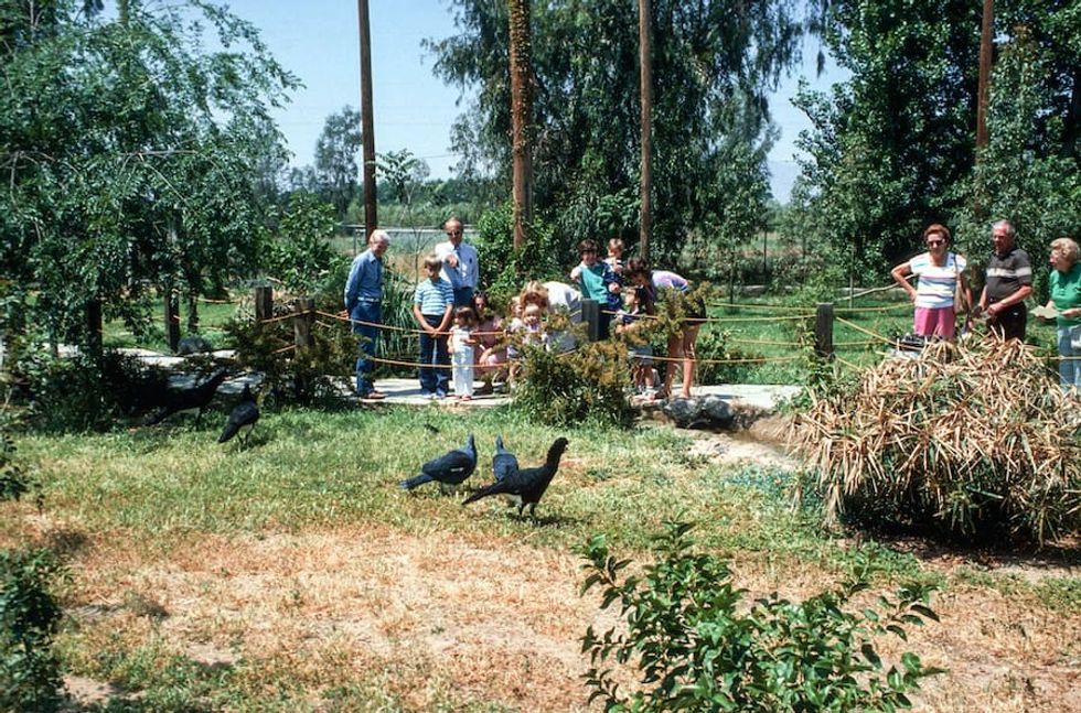 families wildlife world zoo