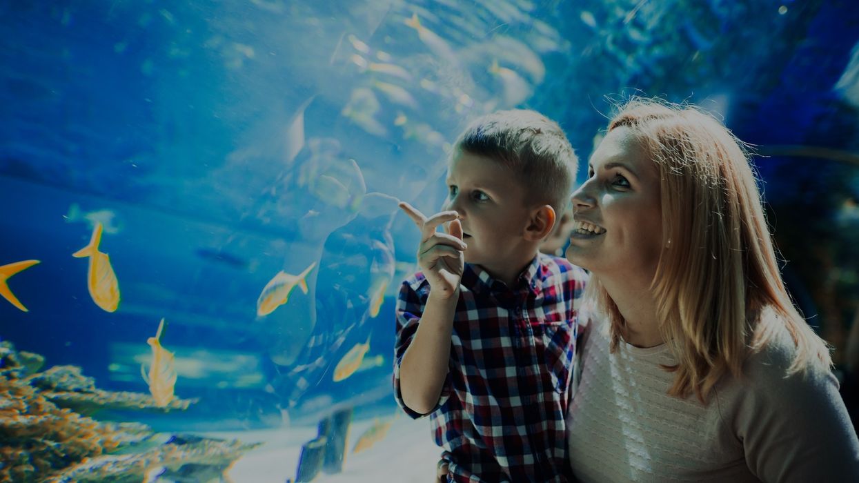 family at aquarium