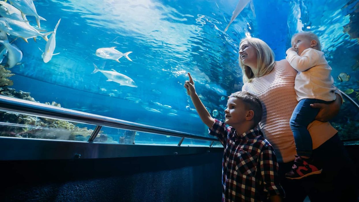family-at-aquarium