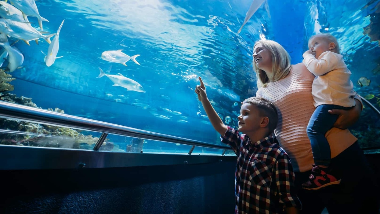 family-at-aquarium