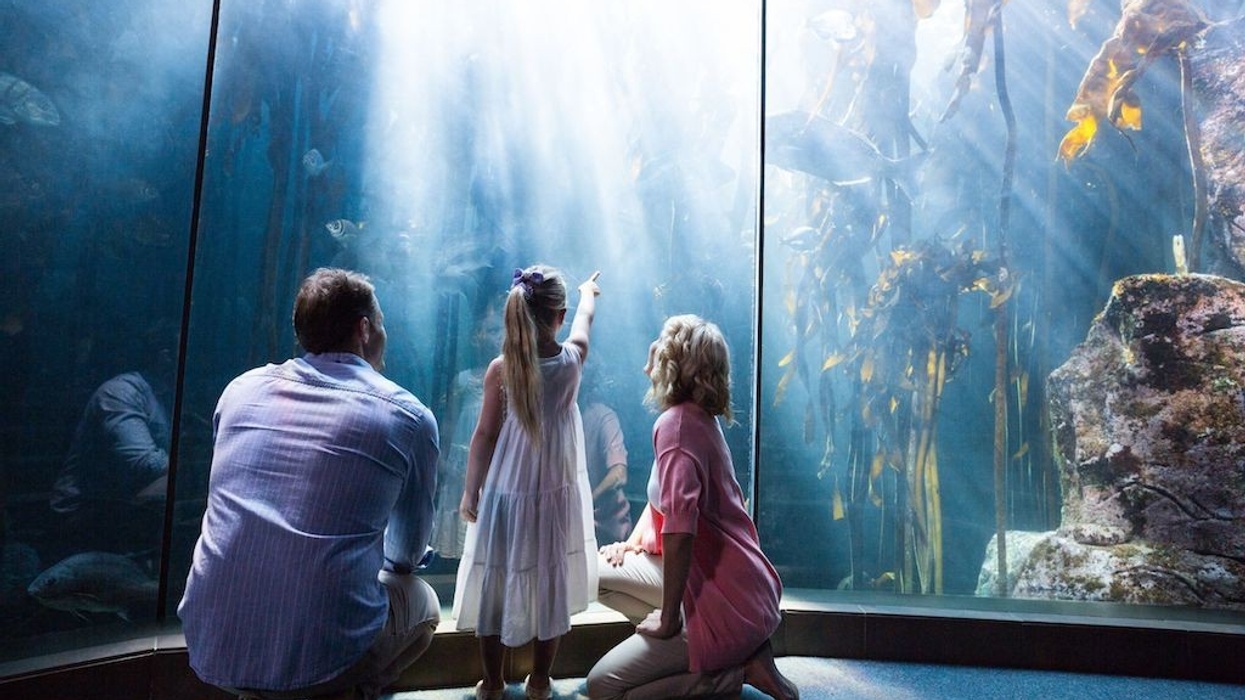 family-at-aquarium