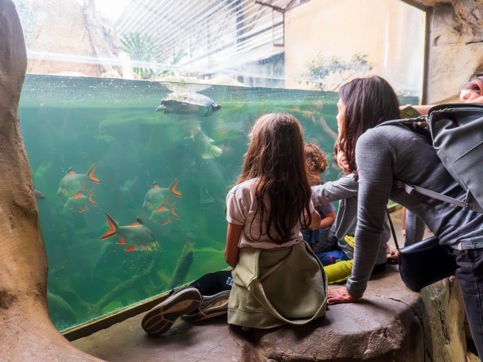 family at La Ferme aux Crocodiles - Réserve Tropicale