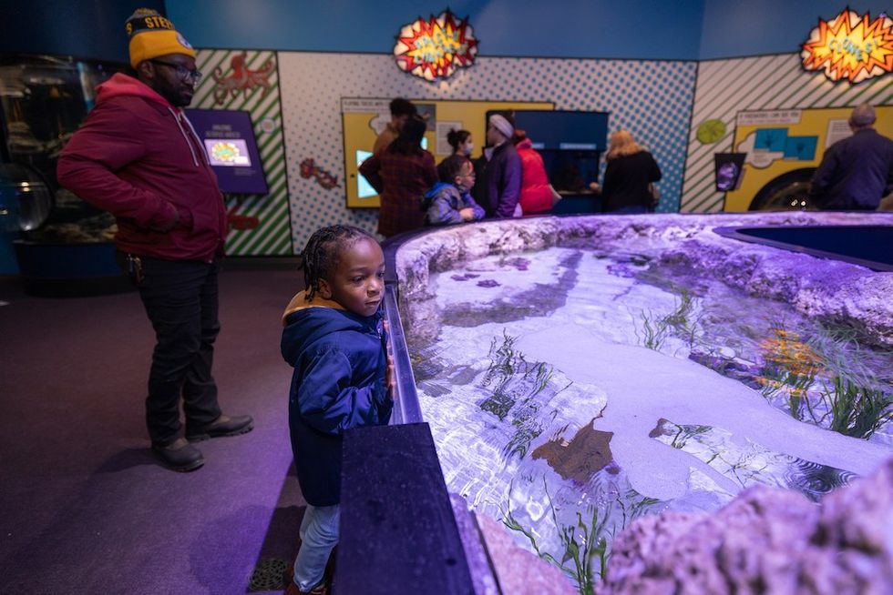 family at Virginia Aquarium