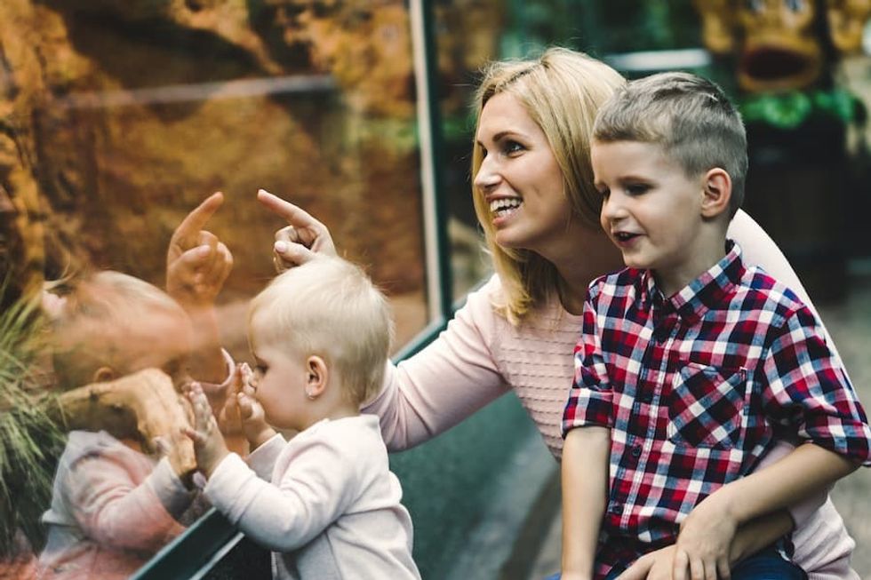family-at-zoo