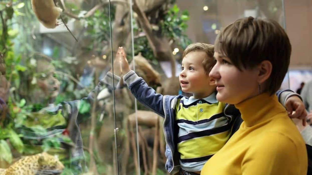Family-at-zoo