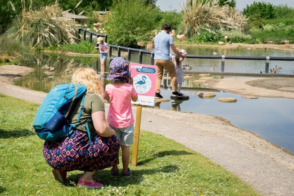 Family bloggers at Wetland Heroes launch