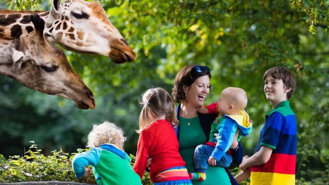 family-day-out-at-zoo
