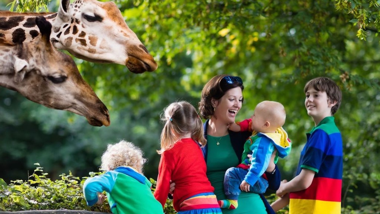 family-day-out-at-zoo