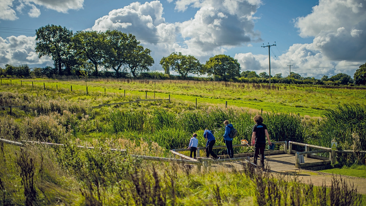 Family exploring a wooden bridge in a sunny, grassy field with a cloudy sky in Cheshire