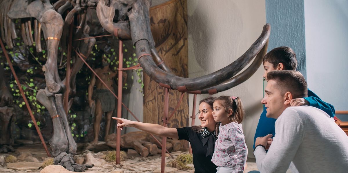 Family in the Museum. A family stands in front of a mammoth skeleton in the Museum of paleontology