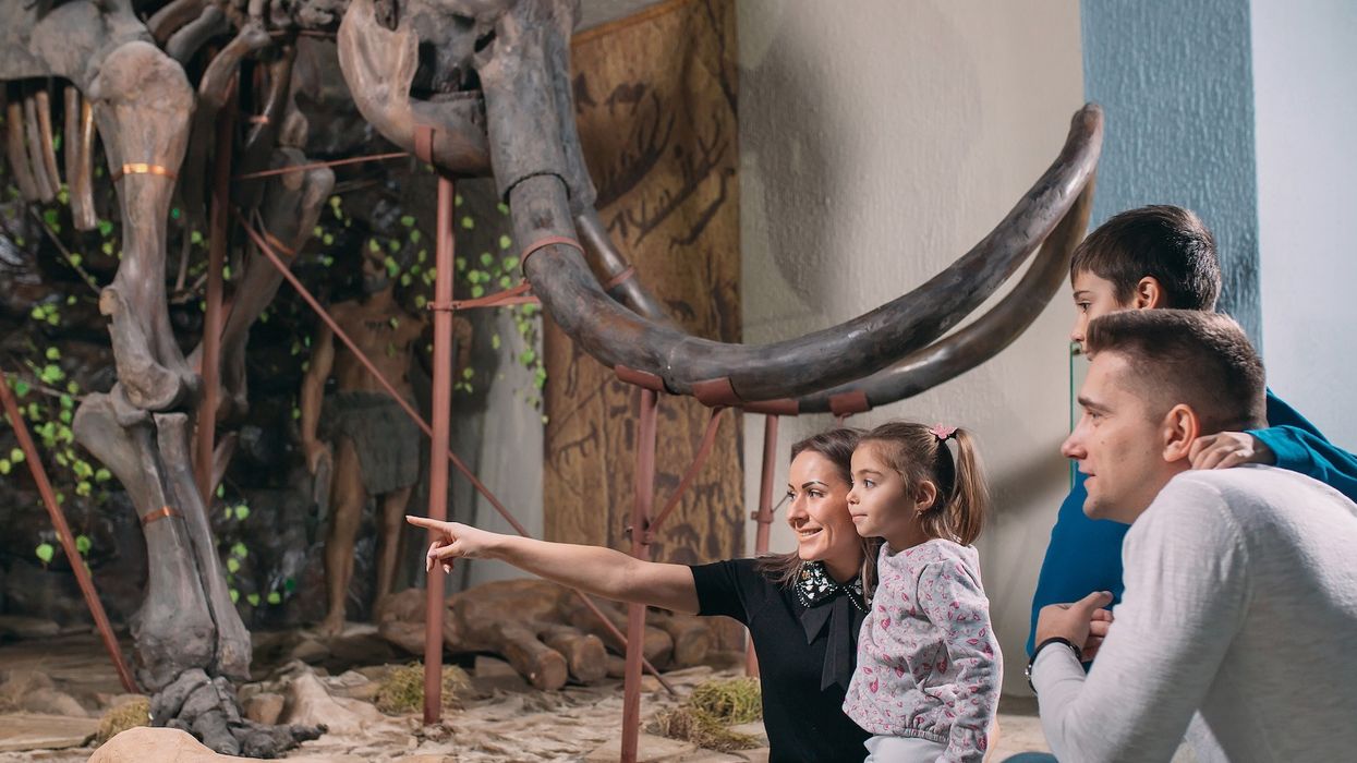 Family in the Museum. A family stands in front of a mammoth skeleton in the Museum of paleontology