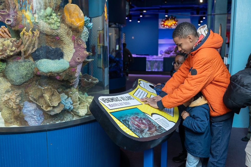 family looks at exhibit Virginia Aquarium