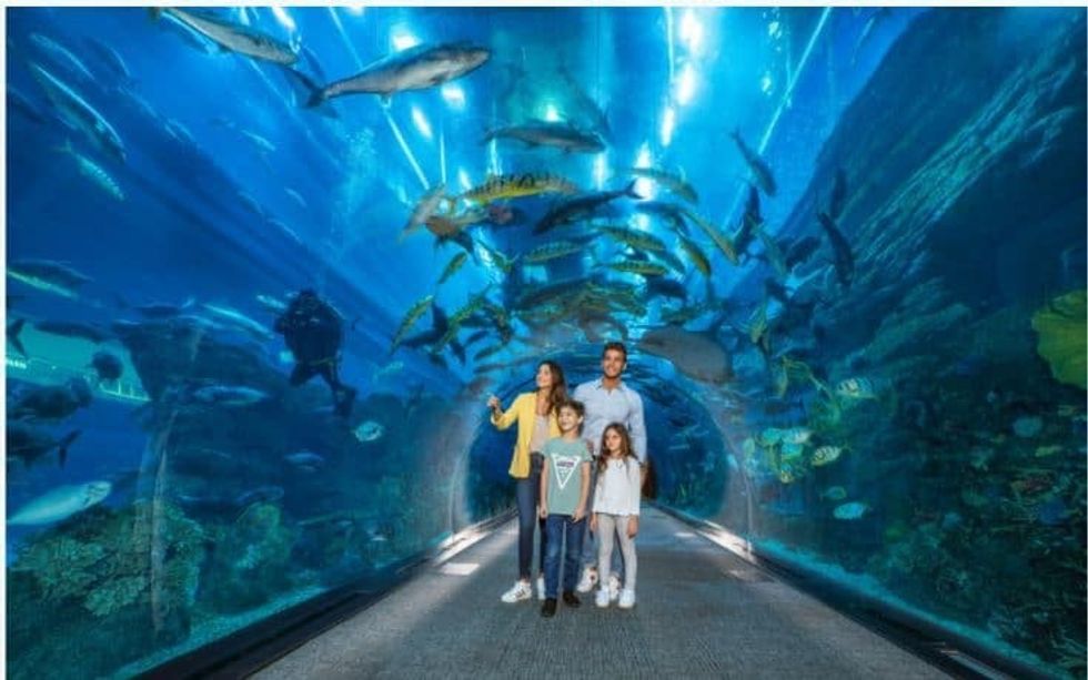 family visiting dubai aquarium Zeina Dagher