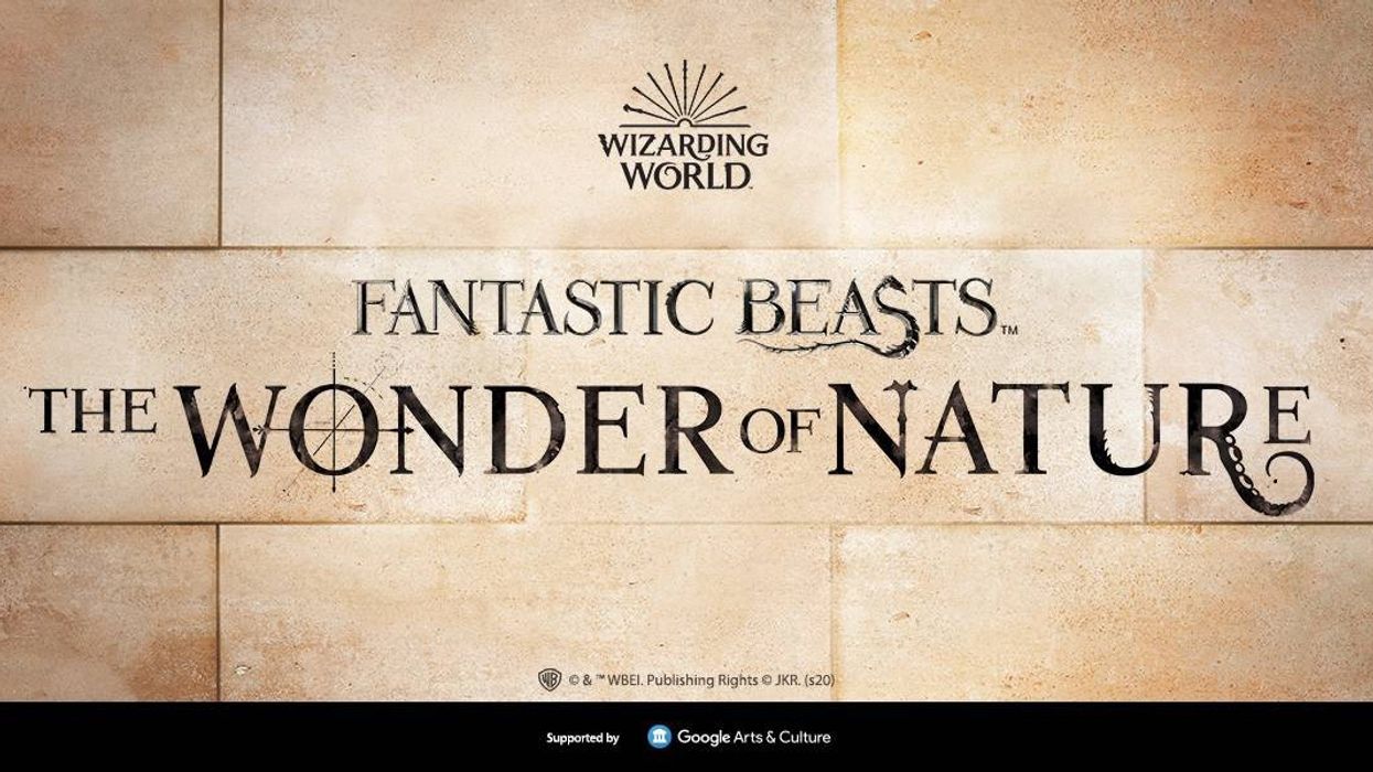 fantastic beasts at the natural history museum