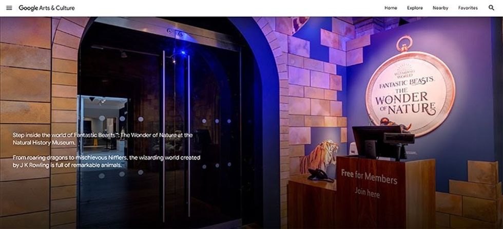 fantastic beasts NHM niffler Google Arts and Culture