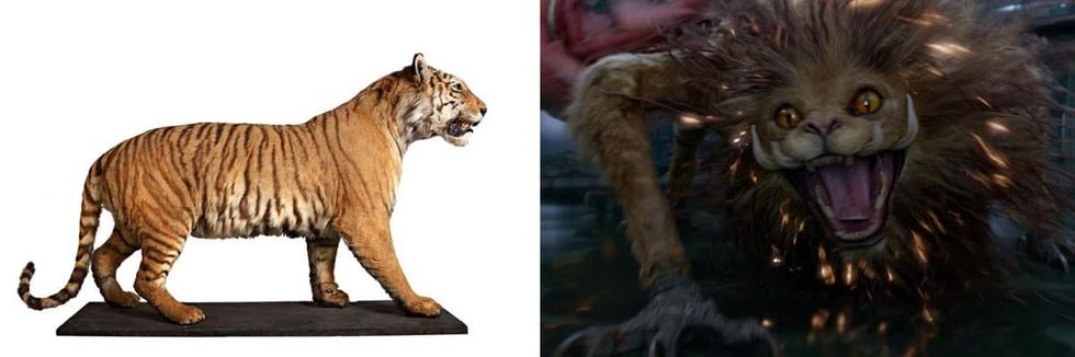 fantastic beasts NHM zouwu tiger