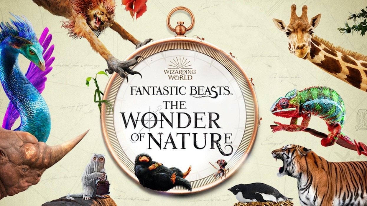 fantastic beasts the wonder of nature exhibition natural history museum