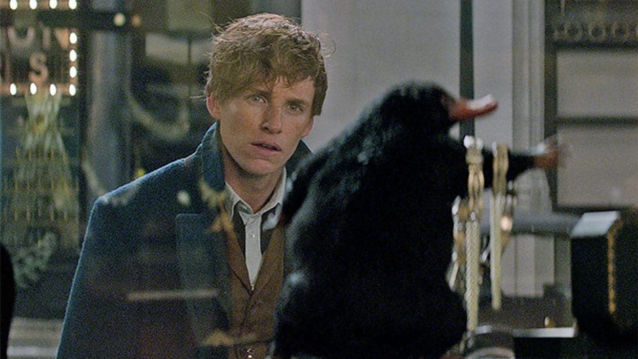 Fantastic Beasts Warner Bros niffler