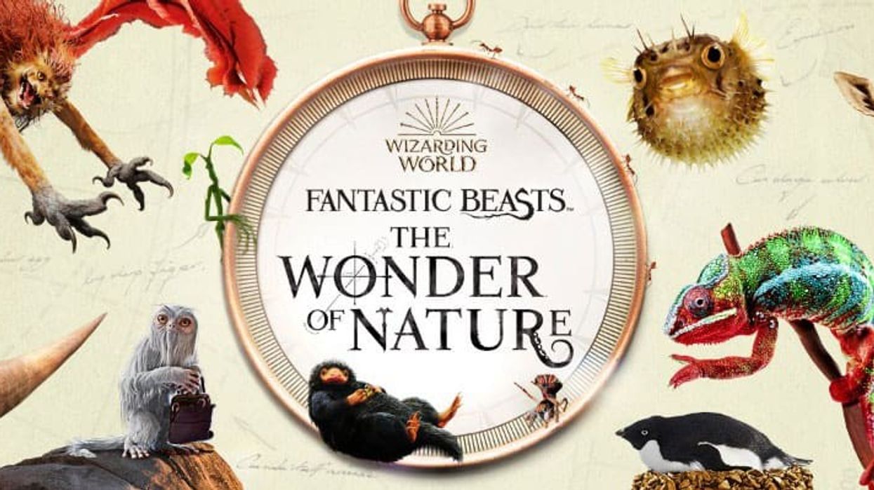 fantastic beasts wonder of nature Natural History Museum