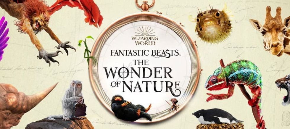 fantastic beasts wonder of nature Natural History Museum