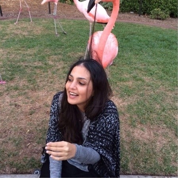 farah ajami