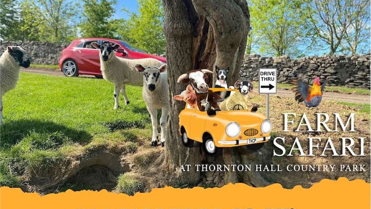 Farm Safari Thornton Hall Country Park Vennersys
