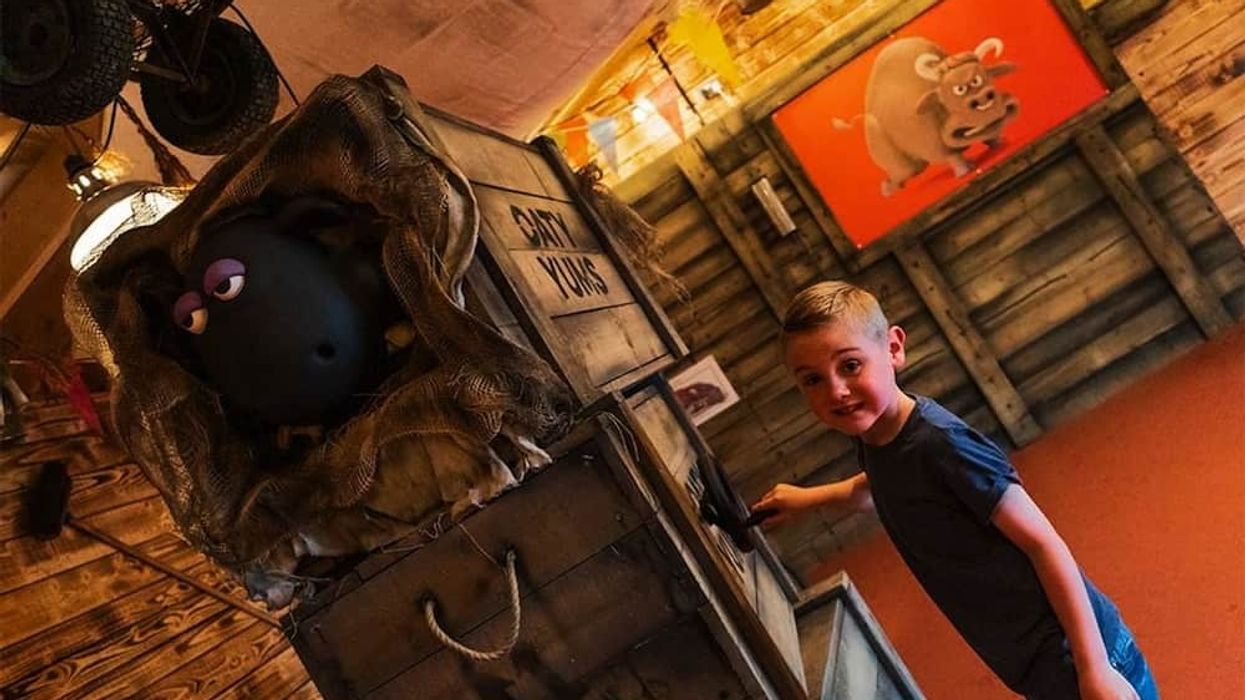 Farmer-Teds-Bitzers-Kinetic-Kennel-Club