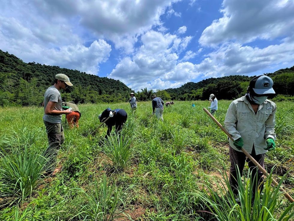farmers Ruam Thai