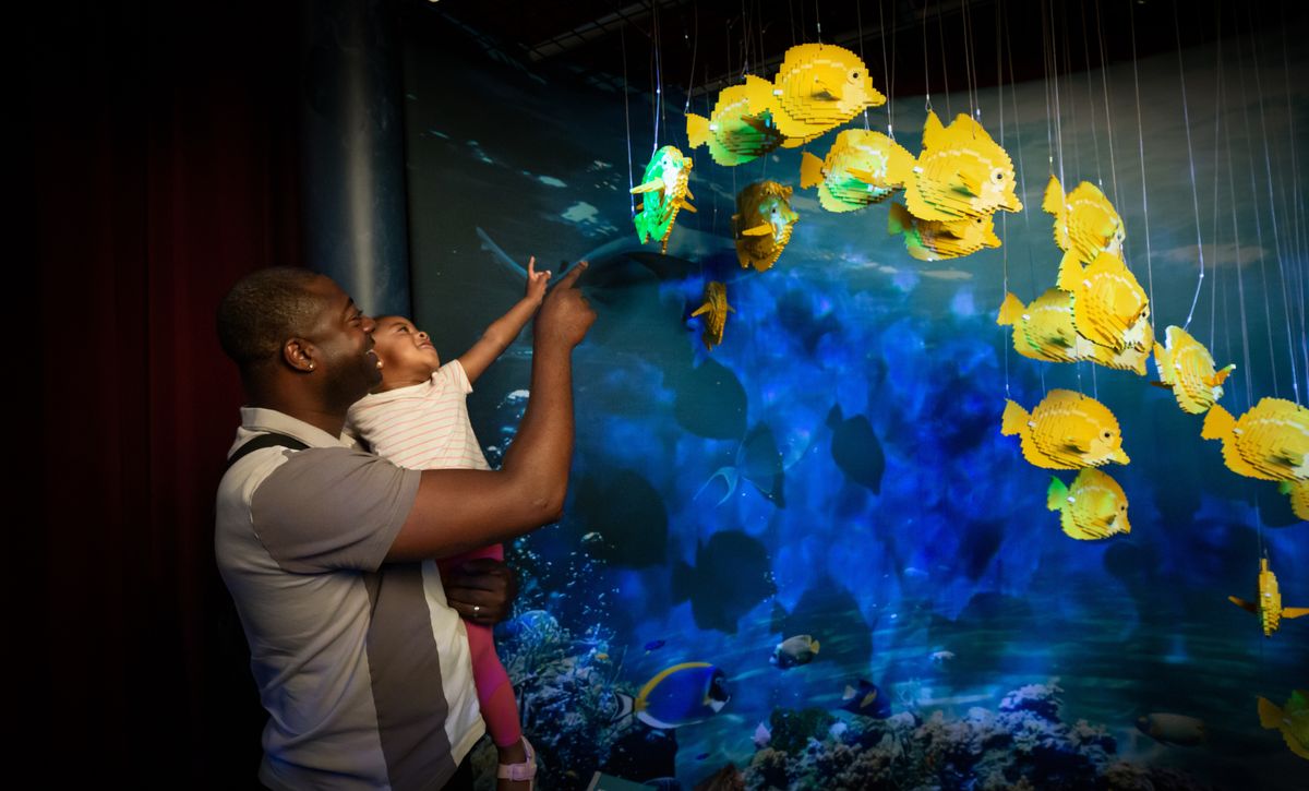 Father and child point at hanging yellow Lego fish models in the Brick Planet travelling exhibition