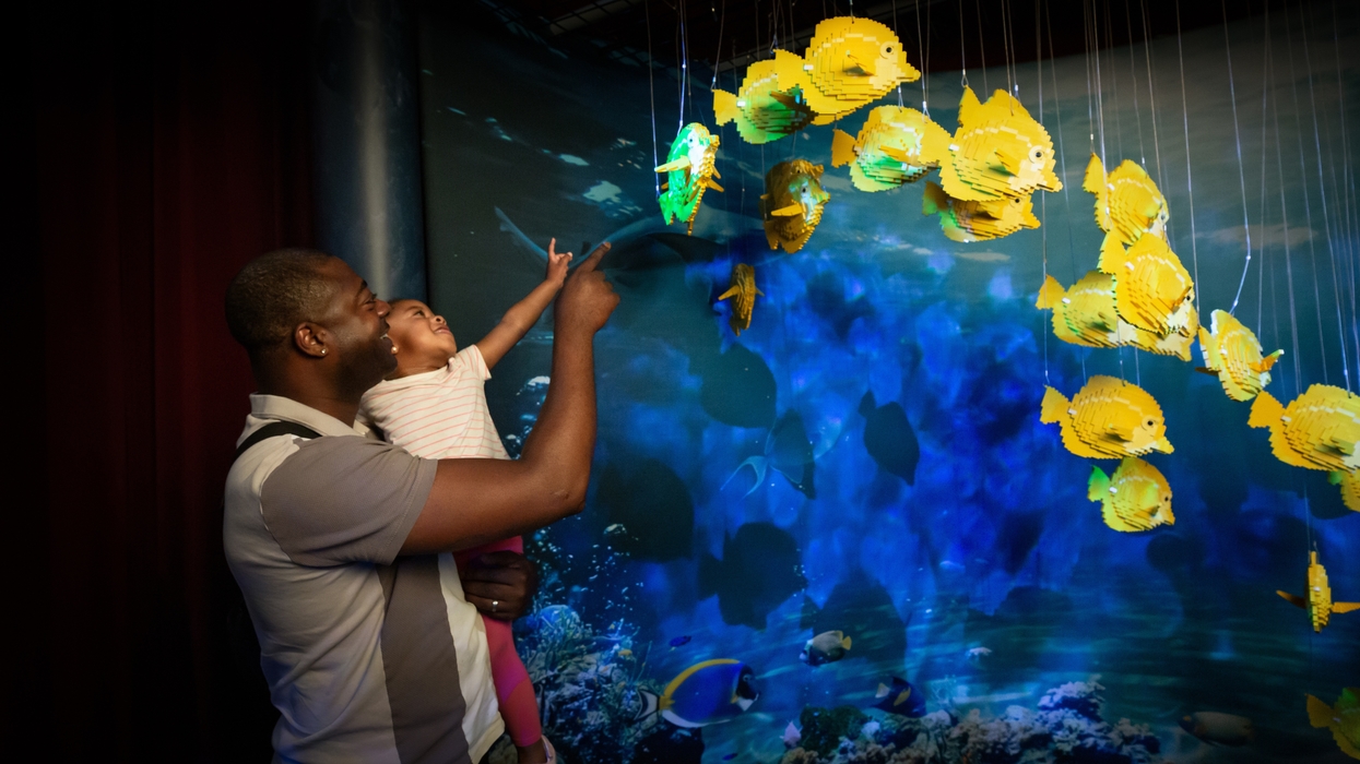 Father and child point at hanging yellow Lego fish models in the Brick Planet travelling exhibition