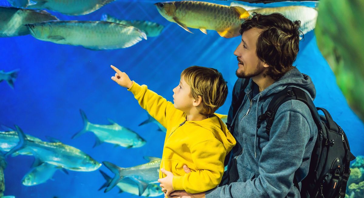 Father and son look at the fish in the aquarium in oceanarium.