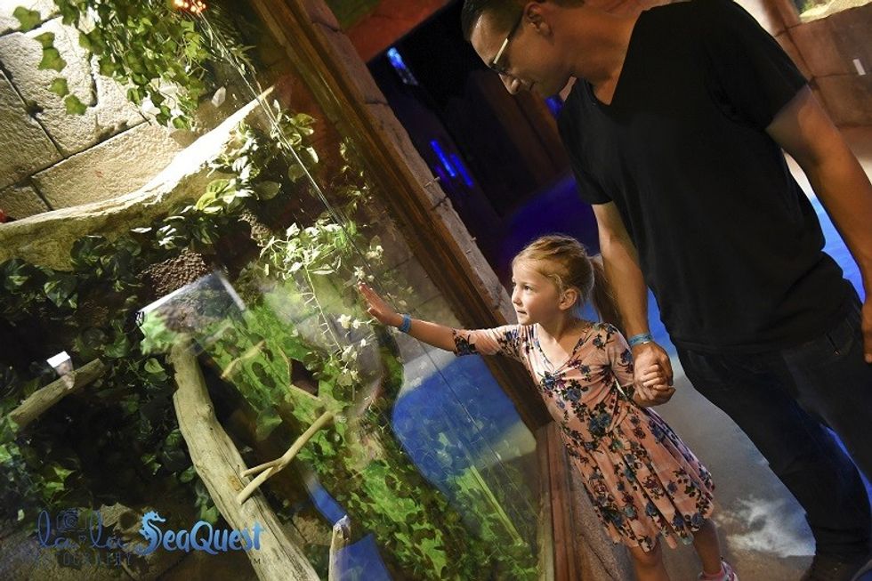 father daughter tree seaquest aquarium