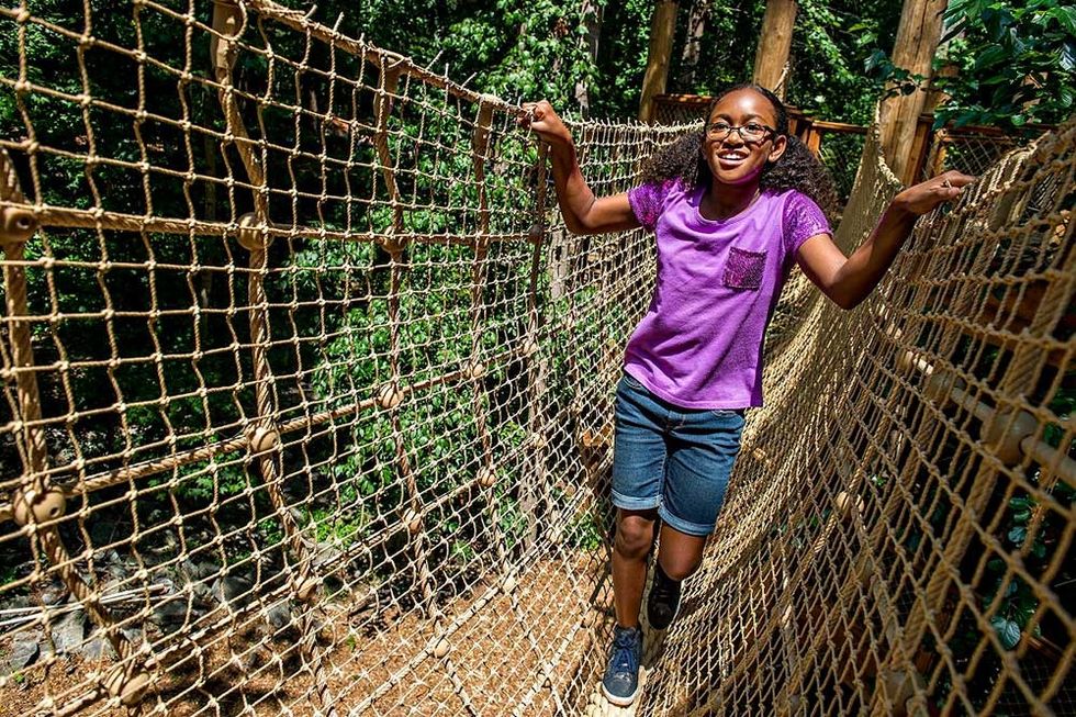 Fernbank Museum of Natural History wildwoods adventure outpost