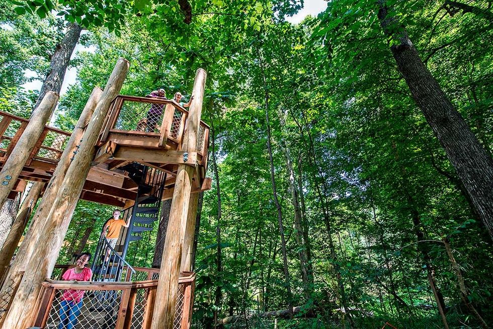 Fernbank Museum of Natural History wildwoods