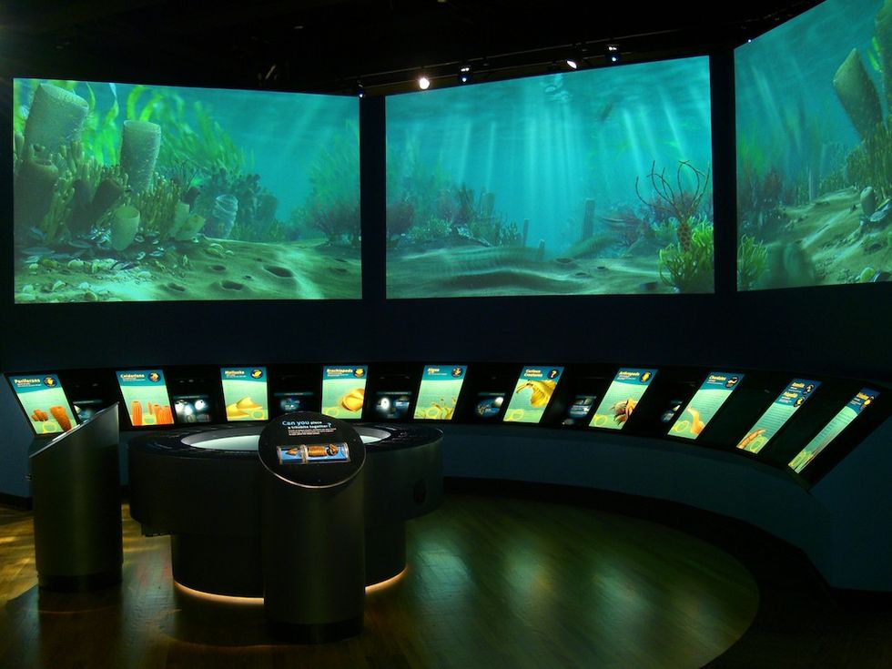 Field Museum_Cambrian Elumenati