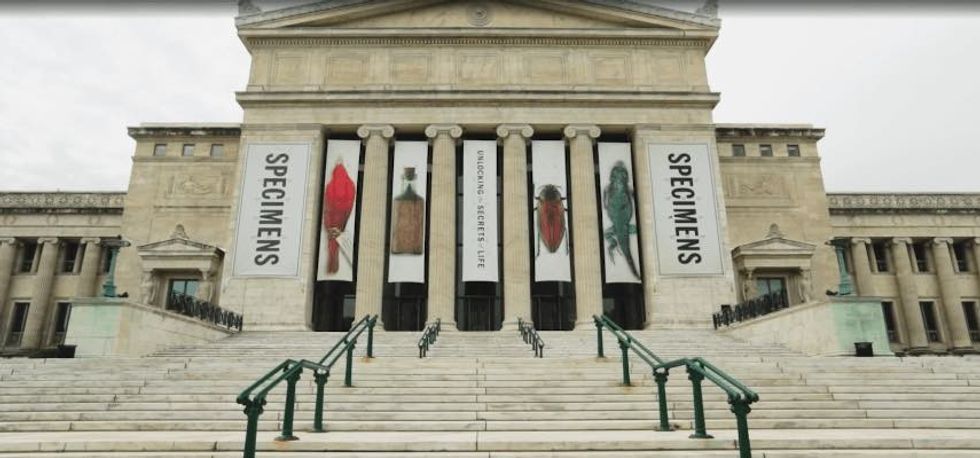 field museum exterior More sustainable museums