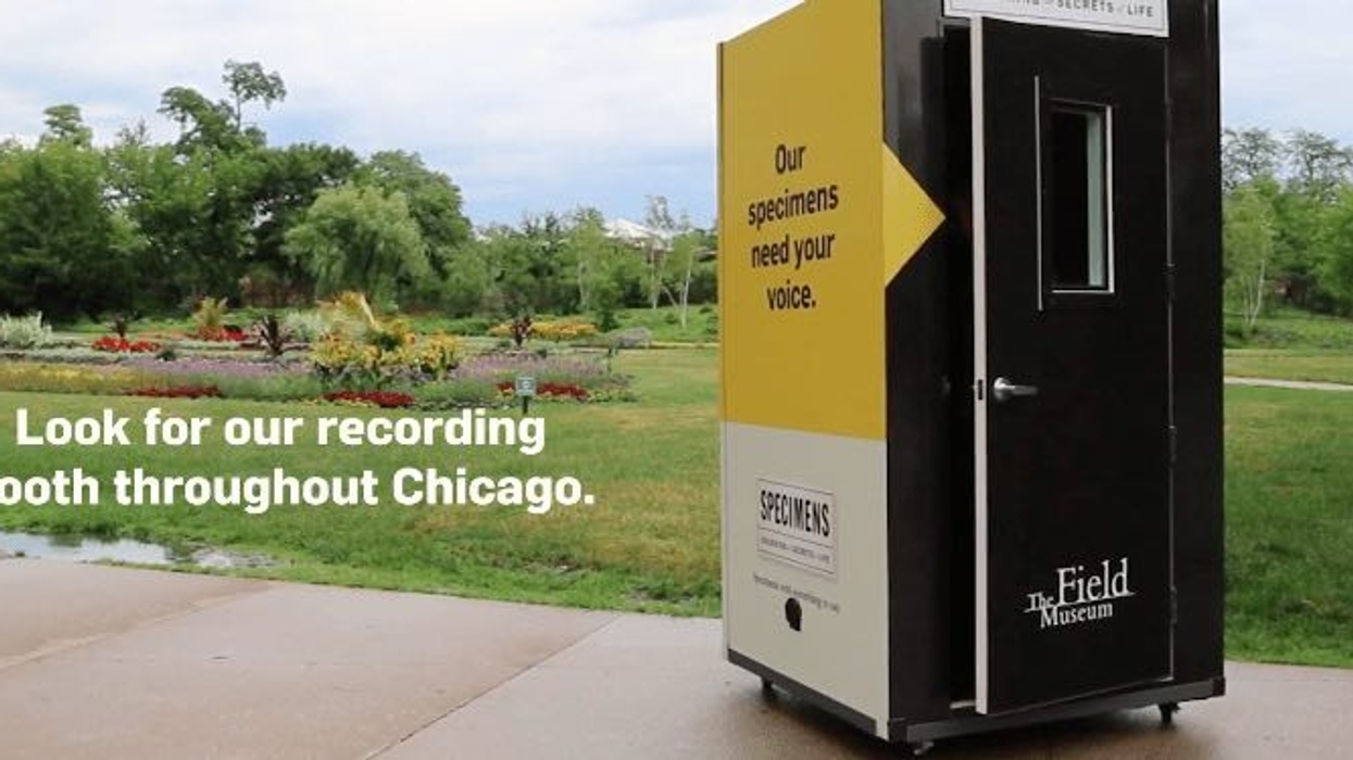 field museum specimesn with voice chicago booth